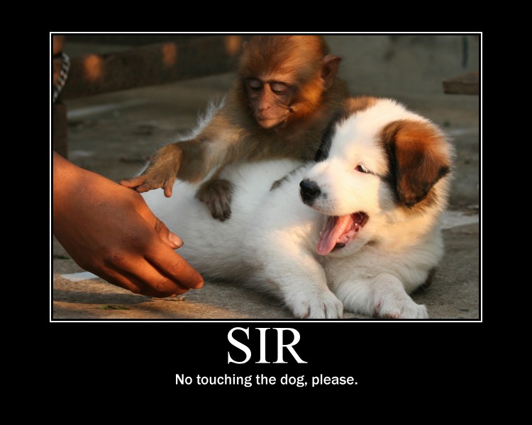 http://alt-tab.org/data/images/2010/07/no-touching-the-dog-please-big.jpg