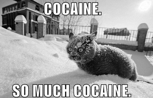COCAINE. SO MUCH COCAINE.
