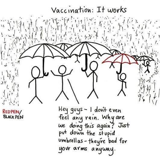 Vaccination : it works.